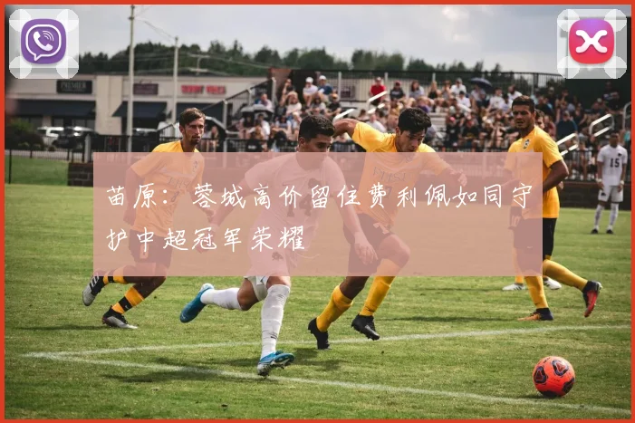 苗原：蓉城高价留住费利佩如同守护中超冠军荣耀